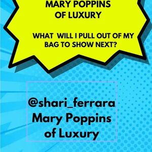 Mary Poppins of Luxury Designer Handbag Mystery Box